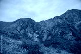 preview cold