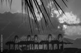 preview bw