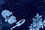 preview cold