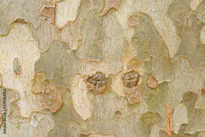 image to crop