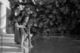 preview bw