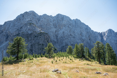 image to crop