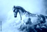 preview cold