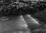 preview bw