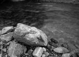 preview bw