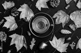 preview bw