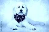 preview cold