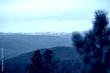 preview cold