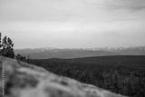 preview bw
