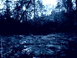 preview cold