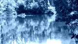 preview cold