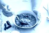 preview cold