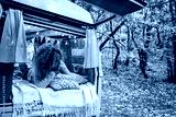 preview cold