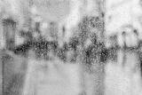 preview bw