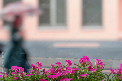 image to crop