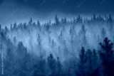 preview cold