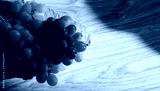 preview cold