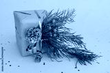 preview cold