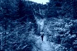 preview cold