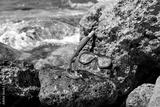 preview bw
