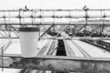 preview bw