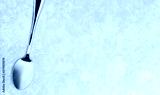 preview cold