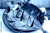 preview cold