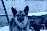 preview cold