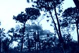 preview cold