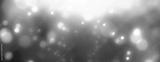 preview bw