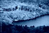 preview cold