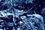 preview cold