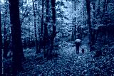 preview cold