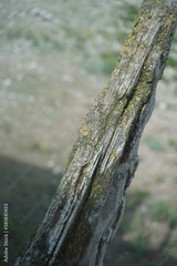 preview original