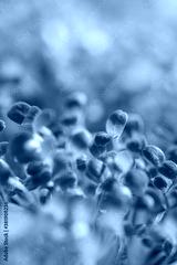preview cold