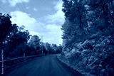 preview cold