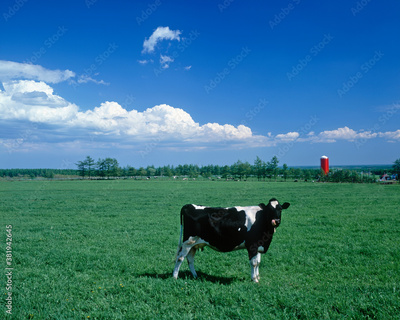 image to crop