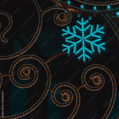 image to crop