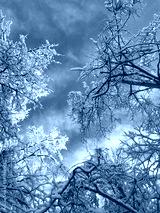preview cold