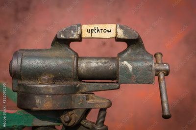 image to crop
