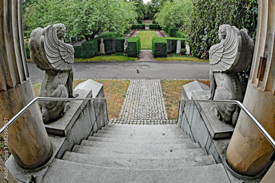 image to crop