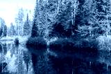 preview cold