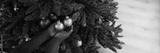 preview bw