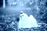 preview cold