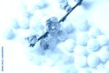 preview cold