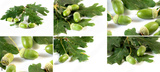 preview original