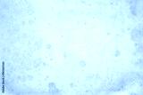 preview cold