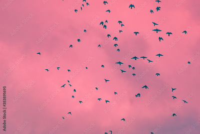 image to crop