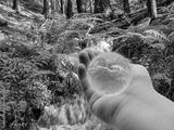 preview bw