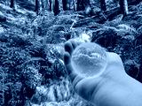 preview cold